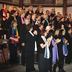 Foto-Galerie