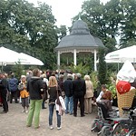 Foto-Galerie