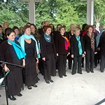 Foto-Galerie