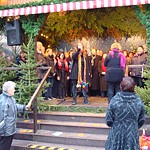 Foto-Galerie