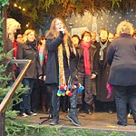 Foto-Galerie