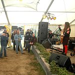 Foto-Galerie